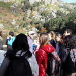 Excusión a la laguna Negra